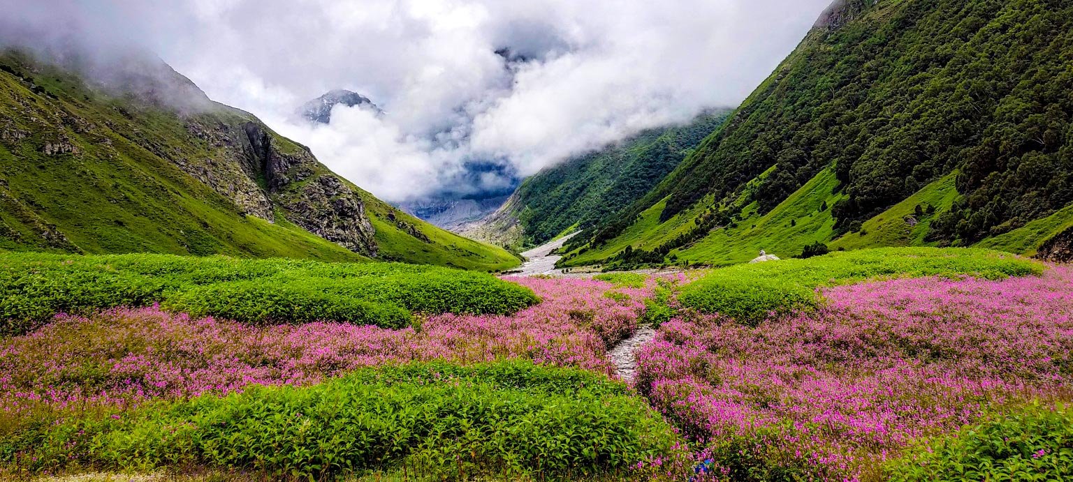 Valley of Flowers & Bhyundar Pass Expedition